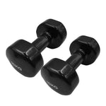 VINYL CAST IRON PVC COATED DUMBBELLS (PAIRS)