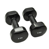 VINYL CAST IRON PVC COATED DUMBBELLS (PAIRS)