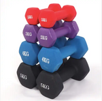 VINYL CAST IRON PVC COATED DUMBBELLS (PAIRS)